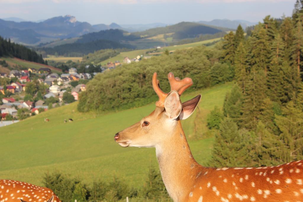 Lapszanska Ostoja Vila Łapsze Niżne Exterior foto